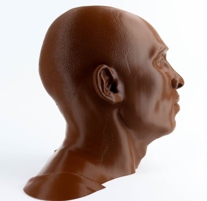 Kobe Bryant 3d Bust