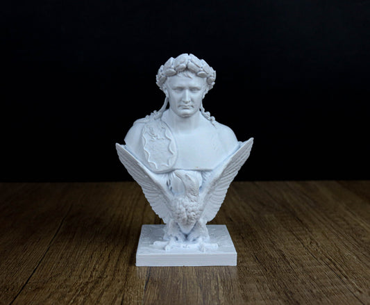 Napoleon Bonaparte Bust, French Emperor  Sculpture, Statue