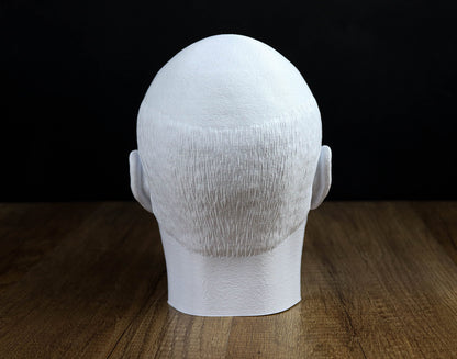 Jean-Luc Picard Headphone Holder, Headset Stand, Bust, Sculpture, Decoration