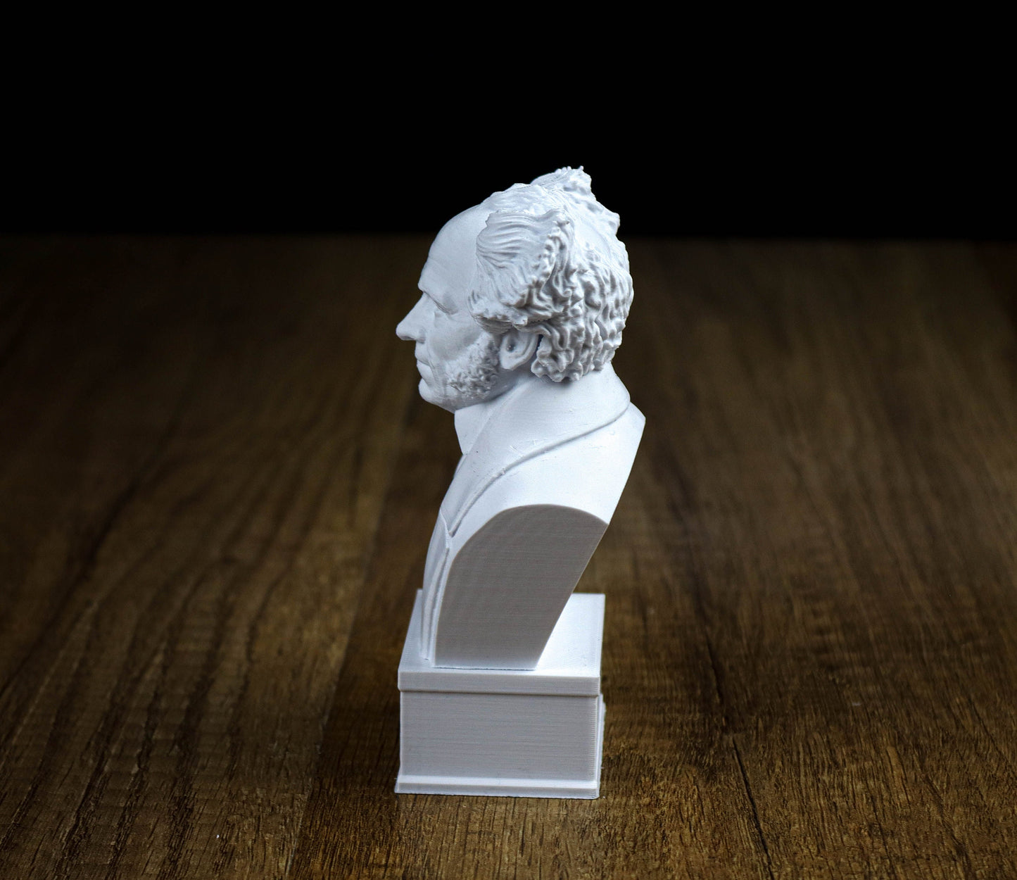 Arthur Schopenhauer Bust, German philosopher Statue, Sculpture Decoration ,Decor