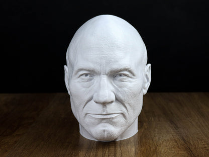 Jean-Luc Picard Headphone Holder, Headset Stand, Bust, Sculpture, Decoration