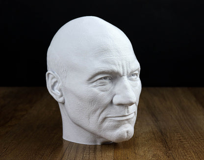 Jean-Luc Picard Headphone Holder, Headset Stand, Bust, Sculpture, Decoration