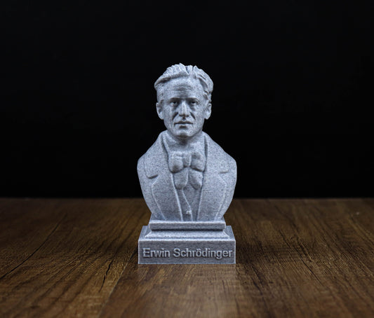 Erwin Schrodinger 3D Sculpture Bust