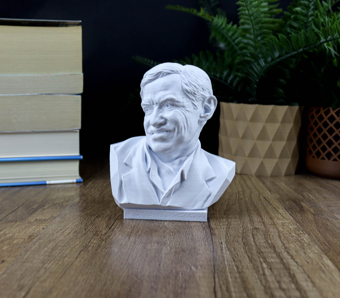 Professor Stephen Hawking Bust