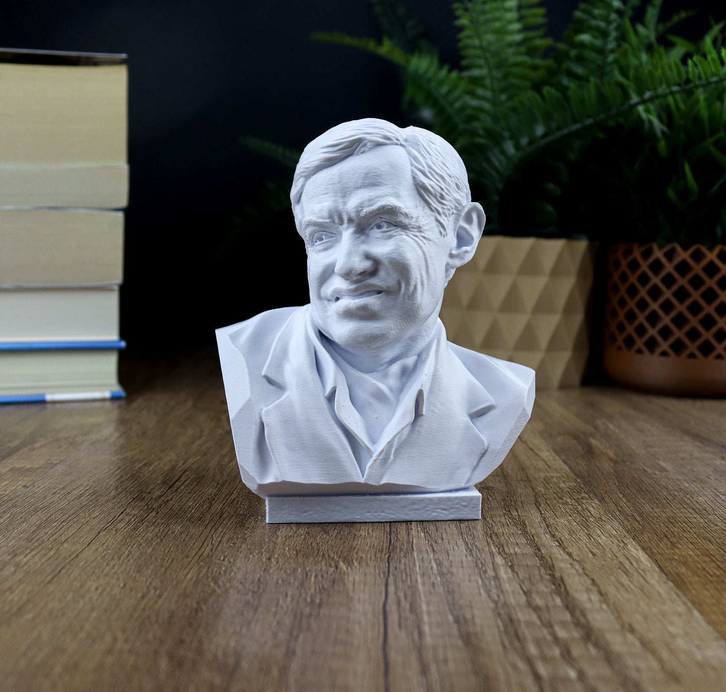 Professor Stephen Hawking Bust