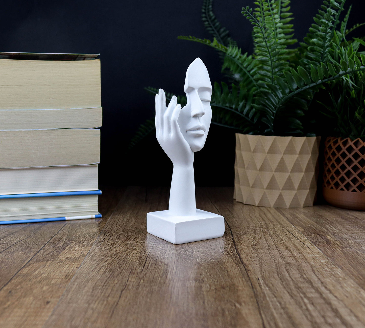 Abstract Art Woman Face Statue, Thinker Statue Home Decor, Bookshelf Decorative Objects