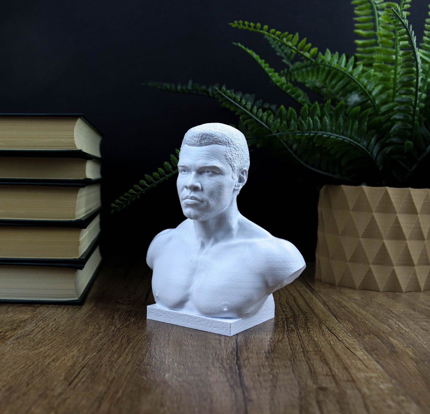 Muhammad Ali Bust