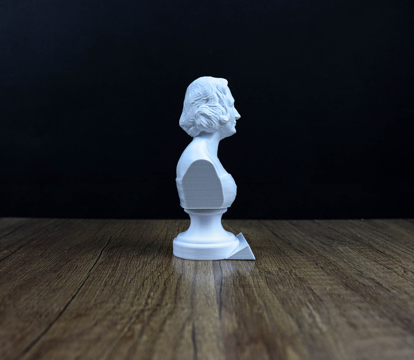 Mary Shelley Bust, Gothic Literature Figure, Romantic Era Writer, Gift for Book Lover