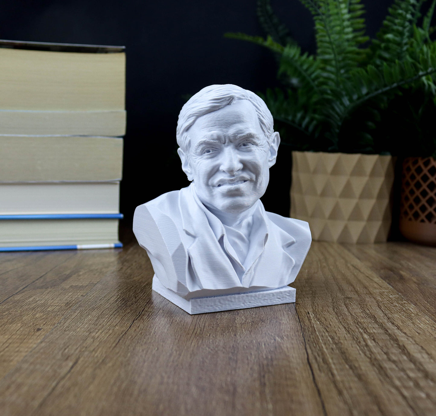 Professor Stephen Hawking Bust