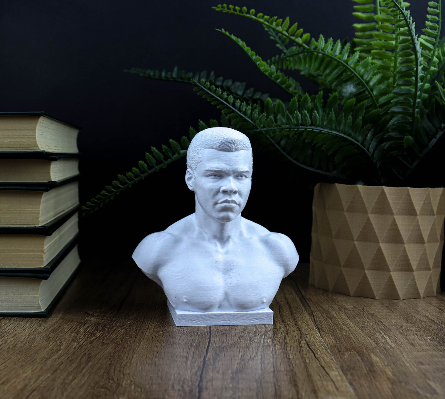 Muhammad Ali Bust