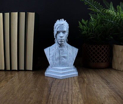 Prince Bust, Music lover gift