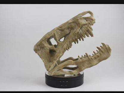 Postosuchus Kkull, Aged Reptile Skull Replica, Prehistoric Dinosaur Fossil Decor, Jurassic Collectible Gift