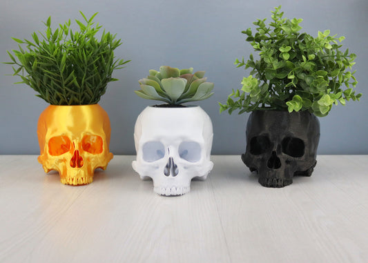 Skull planter, Human Skull Pots, Gothic Home Decor, Halloween Decoration, Witch House Decor