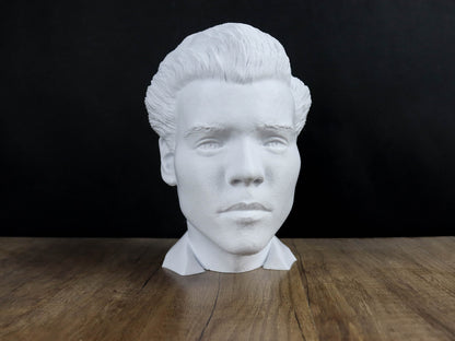 Harry Styles Headphone Holder Bust, Desktop Decor Headphone Stand